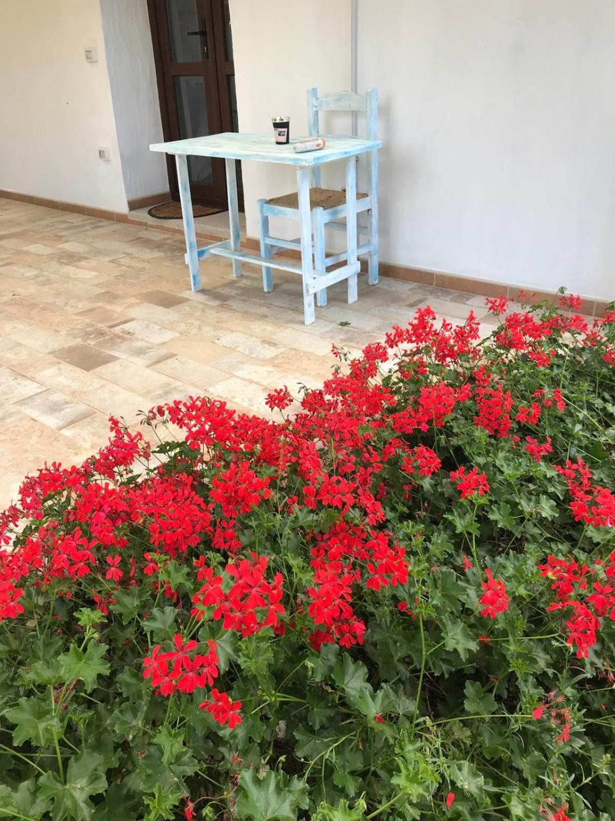 La Fragola In Campagna 6 K M Da San Pantaleo Hotel Luaran gambar