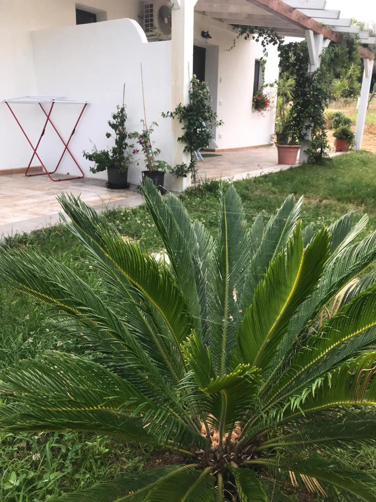 La Fragola In Campagna 6 K M Da San Pantaleo Hotel Luaran gambar